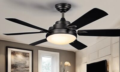 ceiling fan lighting options