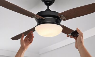 ceiling fan remote removal