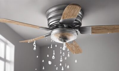 ceiling fan water leakage