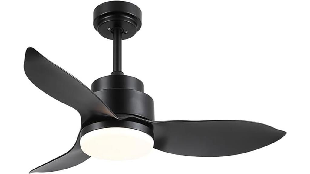 sleek black fan design