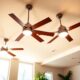 stylish bright light ceiling fans