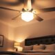 stylish functional ceiling fans