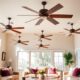 stylish wood ceiling fans