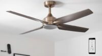 smart ceiling fan features