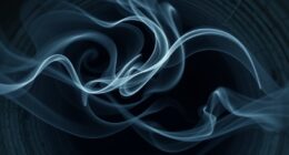 airflow distribution dynamics