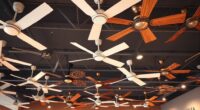 compare affordable and premium fans