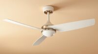 dry climate ceiling fans