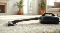 quiet effective household cleaning