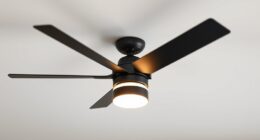 smart ceiling fan options