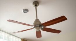 top ionizer ceiling fans