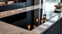 premium induction cooktops
