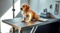 top pet grooming table picks