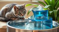 top premium cat fountain options