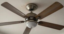 ceiling fan electrical issue