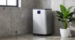 top basement dehumidifier picks