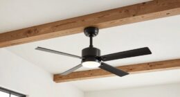 top beam ceiling fan picks