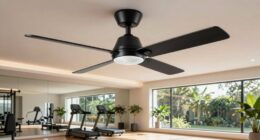 top gym ceiling fans
