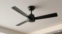 top matte black ceiling fans