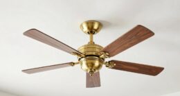 top premium ceiling fans