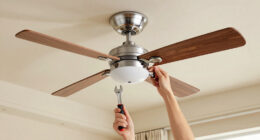 12 Best Ceiling Fans With Premium Finishes in 2026