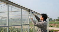 13 Best Heavy Duty Greenhouse for Windy Areas in 2026