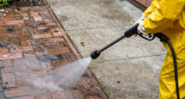 15 Best Low Noise Pressure Washer for Urban Homes in 2026
