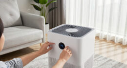 7 Best Large Room Air Purifiers in 2026