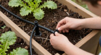 9 Best Drip Irrigation Kit for Raised Bed Gardens in 2026