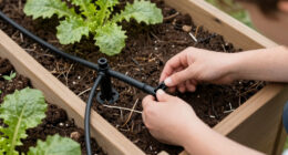 9 Best Drip Irrigation Kit for Raised Bed Gardens in 2026