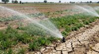 challenges in even water distribution
