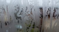 condensation signals potential health risks