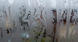 condensation signals potential health risks