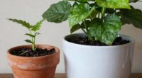 container size influences growth