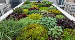 green roof cooling mechanisms