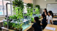 hands on aquaponics education