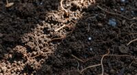 healthy soil retains water