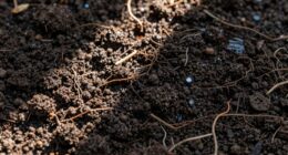 healthy soil retains water