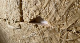 insulation quality equals effectiveness