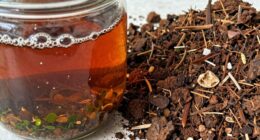 liquid nutrients versus solids