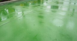 moisture control hygiene improvement