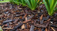 mulch conserves water efficiently