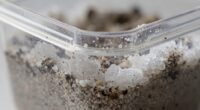 salt accumulation in media