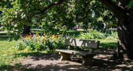 shade reduces heat exposure