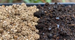 soil texture influences watering