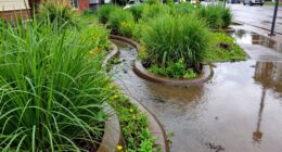 stormwater management technique
