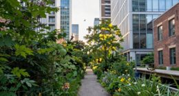 support urban biodiversity connectivity