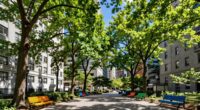 urban tree planting priorities