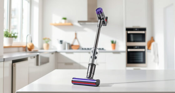 Best Dyson Filters in 2026: Top Accessories & Parts