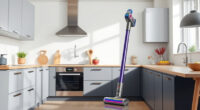 Best Dyson Cordless Vacuums for Pet Hair (2026) — Guide 13