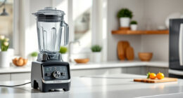 Best Vitamix Tamper in 2026: Top Accessories & Parts